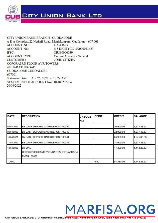 Realistic India City Union bank statement word real example